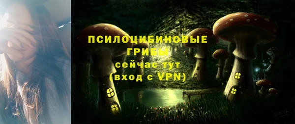 прущие грибы Абдулино
