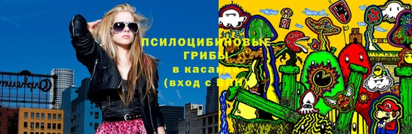 прущие грибы Абдулино