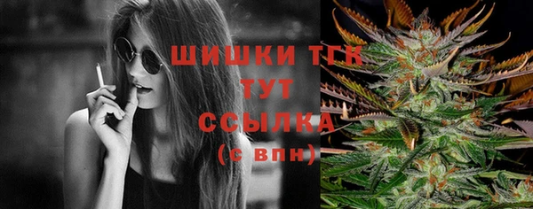 соль ск Абаза
