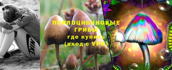 прущие грибы Абдулино