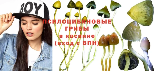 соль ск Абаза