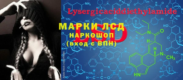 прущие грибы Абдулино