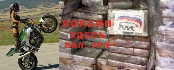 прущие грибы Абдулино
