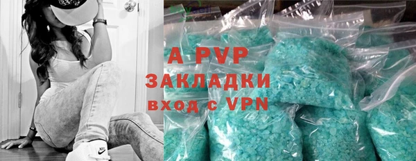 прущие грибы Абдулино