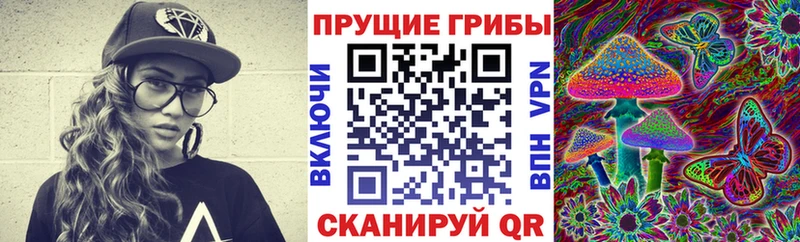 Псилоцибиновые грибы Psilocybe  Красновишерск 