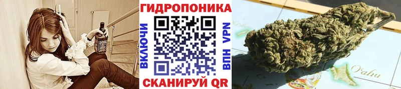Шишки марихуана план  Красновишерск 